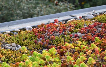 the cost of Nuns Quarter green roof installation
