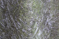 Nuns Quarter fibreglass roof work